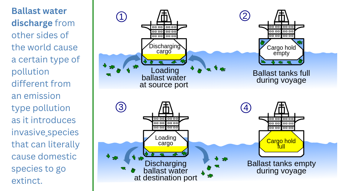 Ballast Water Management Convention: An Exhaustive Overview