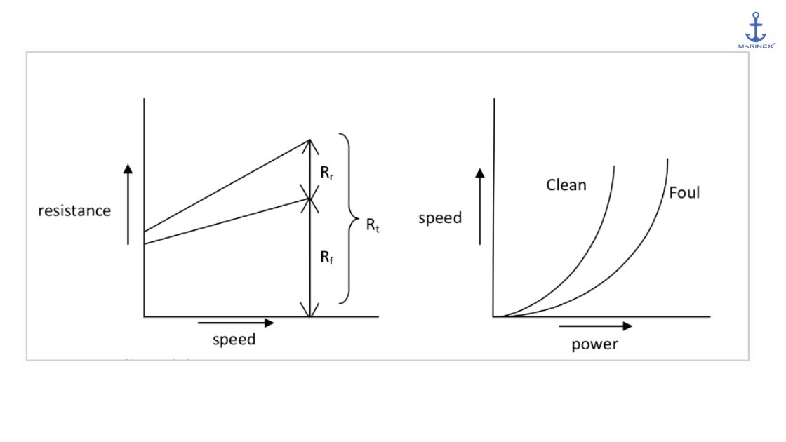 Optimizing Fuel Efficiency in Shipping: Navigating External Influences